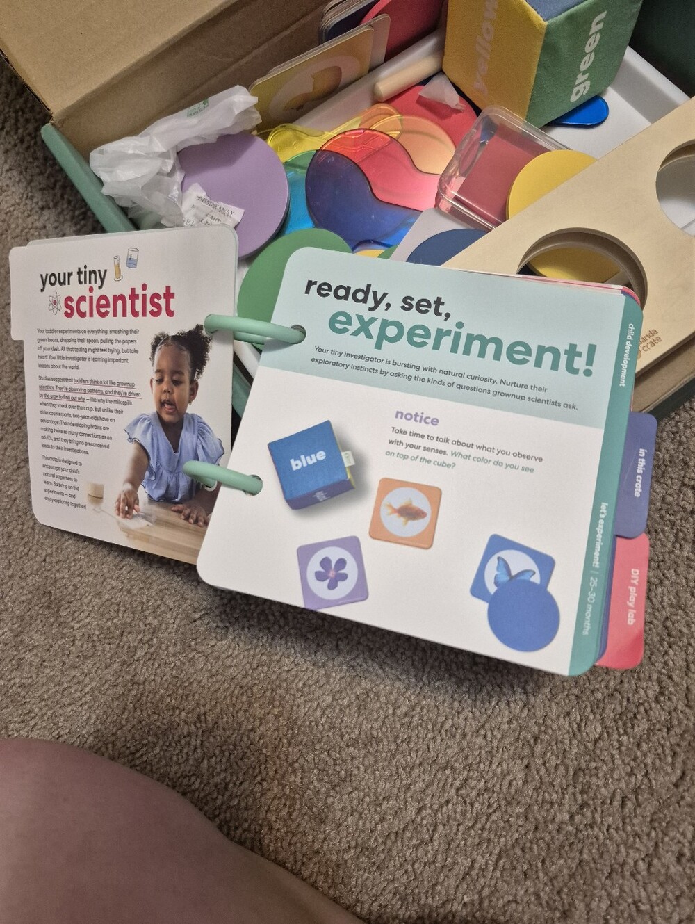 Early Learning Wonder Play Guide & Colorful Activity Set - Multi - Picture 2 of 12